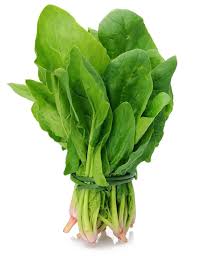 Malabar Spinach